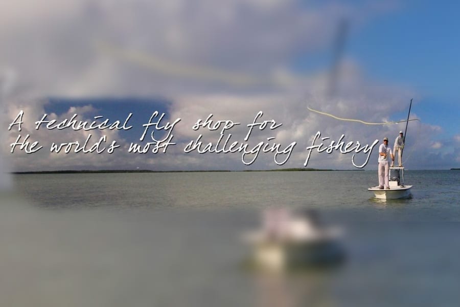 Home The Angling Company