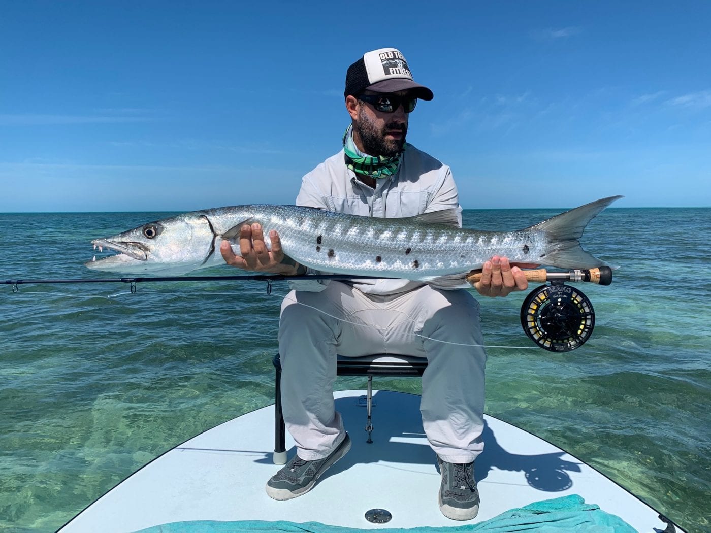 Barracuda Fishing Tips and Tactics